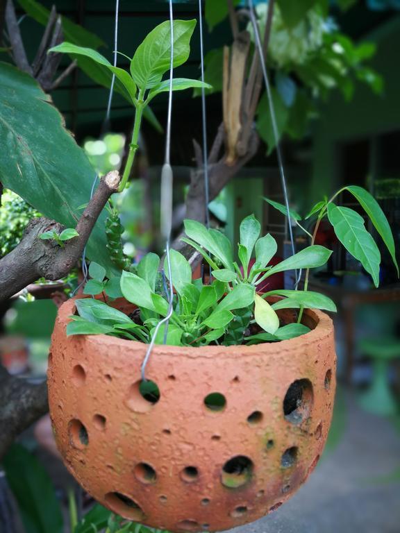 Baan Bua Guest House Chiang Rai Bagian luar foto