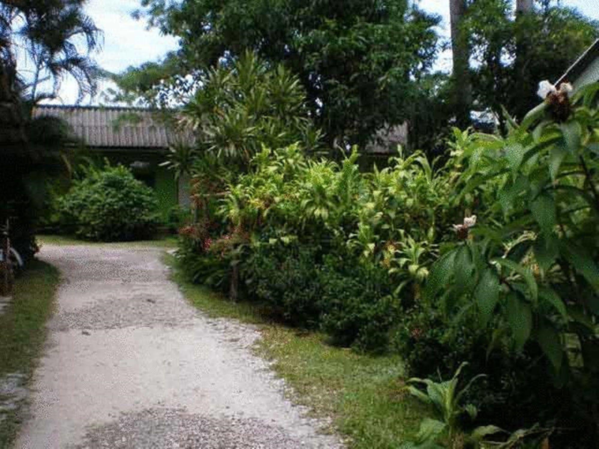 Baan Bua Guest House Chiang Rai Bagian luar foto